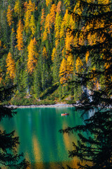 Fototapeta na wymiar Autumn and golden reflections on Lake Braies. Park of the Dolomites.
