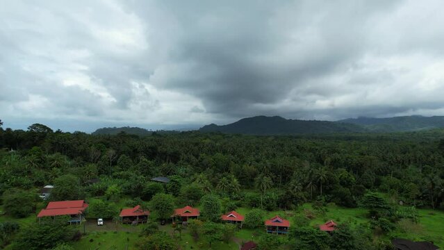 Landscape with Sao Tome forest - Africa