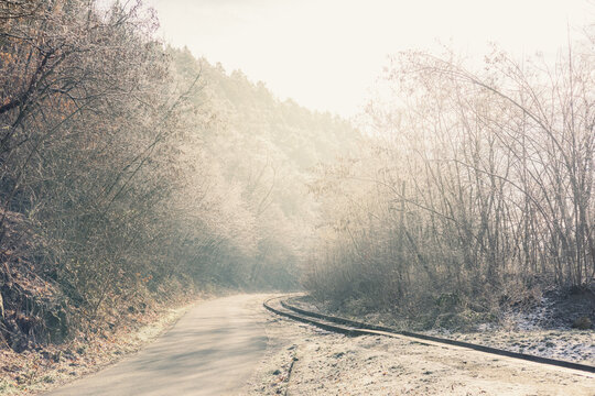 Abandoned railroad tracks frosty morning.