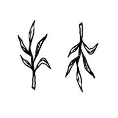 black and white silhouettes of leaves