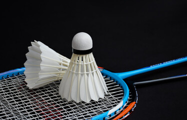 Cream white badminton shuttlecock and racket on red floor in indoor badminton court, copy space, soft and selective focus on shuttlecocks.