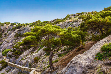 The Golitsyn trail passing through Cape Kapchik in the Crimea. Russia