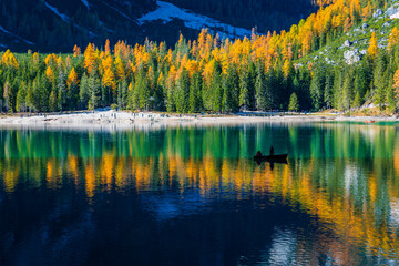 Autumn and golden reflections on Lake Braies. Park of the Dolomites.
