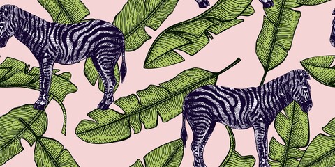 Tropical zebra and banana leaf seamless pattern. Retro african animals in engraving style. © Purple_Lamp
