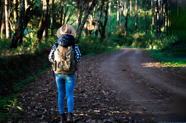 Back of female tourist walking through the forest, with a backpack on her back, on a sunny day, Young woman with hiking bag on a trekking trail in tropical rain forest. Holiday and vacation.