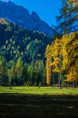 Fototapeta na wymiar Autumn in Val Fiscalina, Dolomites Park.