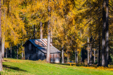 Autumn in Val Fiscalina, Dolomites Park.