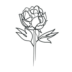 Continuous line drawing of simple flower illustration