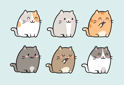 cute funny fat cats