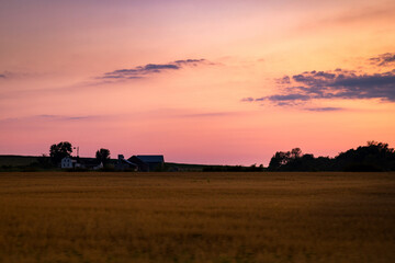 Golden Wheat Farm Field in a Late Evening Sunset | Amish Country, Ohio