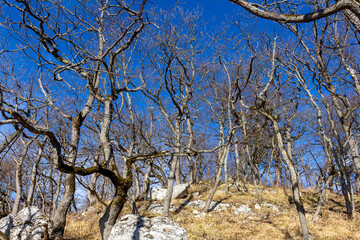 Winter mountain landscape on a sunny day, without snow cover, on observation decks.