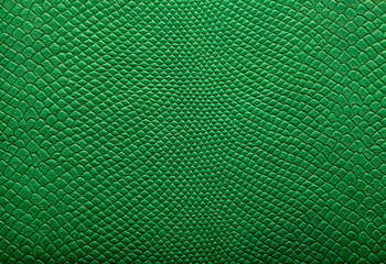 Beautiful green bright python skin, reptile skin texture, multicolored close-up as a background.