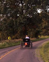 Amish Man Riding a Horse and Buggy on a Small Country Road | Holmes County, Ohio