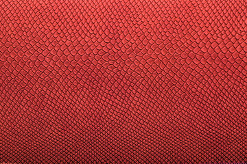 Beautiful red bright python skin, reptile skin texture, multicolored close-up as a background.