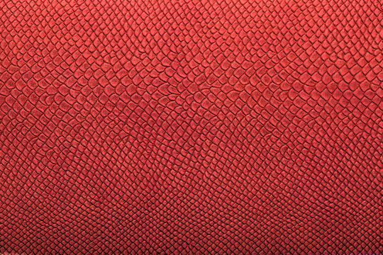 Beautiful red bright python skin, reptile skin texture, multicolored close-up as a background.
