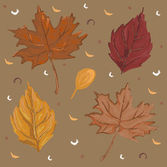 Vector set of autumn maple and poplar leaves.