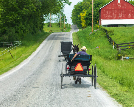Amish Man Hangs His Arm Out the Back of His Horse and Buggy on a Back Road in Holmes County, Ohio