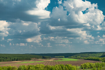 Panorama view with meadow, forest and dramatic cloudy sky