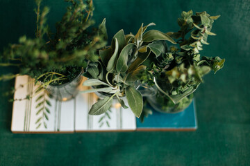 Fresh Medicine herbs Oregano, Sage, Thyme in glass bottle. Spring background.