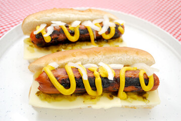 Hot Dogs with Onions, Relish and Mustard on a Plate	