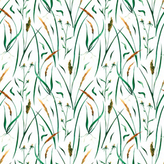 Watercolor hand-painted seamless pattern. Field grasses