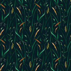 Watercolor hand-painted seamless pattern. Field grasses