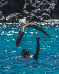 Red Footed booby at Punta Pitt, San Cristobal