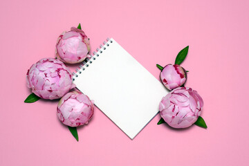 on a pink background a white sheet, beautiful pink peonies. card, congratulations on March 8, Valentine's Day, Mother's Day