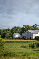 Obraz premium Old White Barn on an Amish Farm with Corn Fields in the Foreground under a Partly Cloudy Sky | Holmes County, Ohio