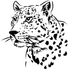 Set Portrait of wild animal head leopard silhouette graphics black ink.