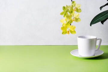 White coffee or tea cup with saucer near delicate yellow phalaenopsis orchid. Mokup, place for text. Selective focus.