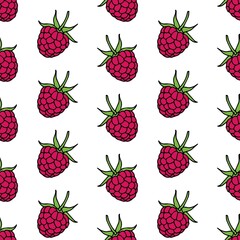 raspberries seamless pattern. Vector illustration