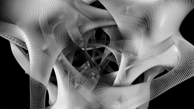 3d render of monochrome black and white abstract art video animation with part f surreal alien flower in rotation change process in curve wavy lines forms with wire atomic structure on surface 