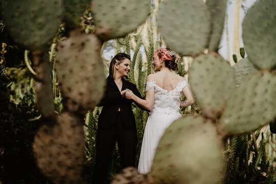 Cheerful brides dancing behind cactus