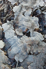 Abstract background frozen water in cold winter temperature below zero ice crystals surface pattern close up