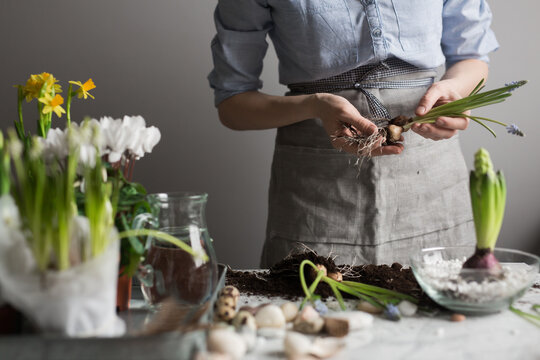 Crop woman planting flowers in pot at table