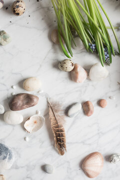 Pebbles and feathers on table with seedlings