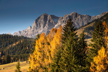 autumnal landscape in the mountains near Dienten in Salzburger Land in Austria