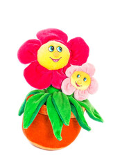 Soft toy flowers in a pot with cheerful faces isolated on a white background