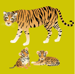 Mrs. Tiger. Mother with her kittens. Vector image. Isolated. - 487410963