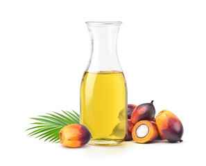 Bottle of palm oil with palm fruits isolated on white background.