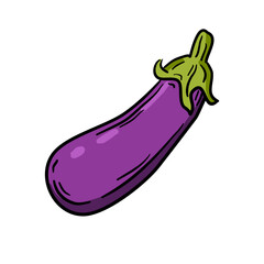 Vector illustration, eggplant isolated on white background.