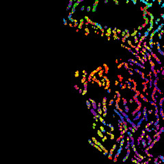 Bright abstract image in a modern style.