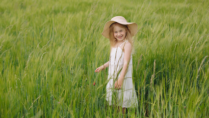 Happy little girl walking on a grassy field on a summer sunny day