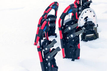 In a winter snowdrift, modern snowshoes are a device for moving through deep snow. 