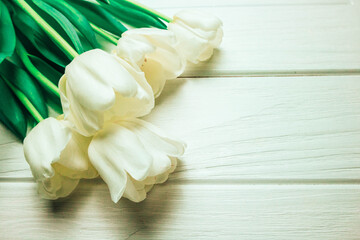 Tulips on wooden background. In spring