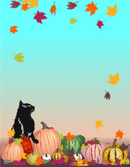 Autumn time background for the Harvest Season