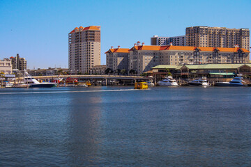 Fototapeta premium View of Davis Island in Tampa Florida, USA