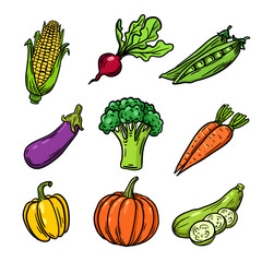 Vector illustration, vegetables set, on a white background.