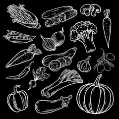 Vector illustration, vegetables set, on a white background.